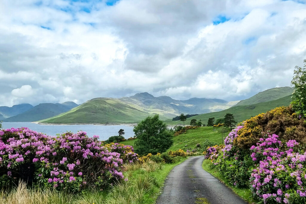 scotland in spring